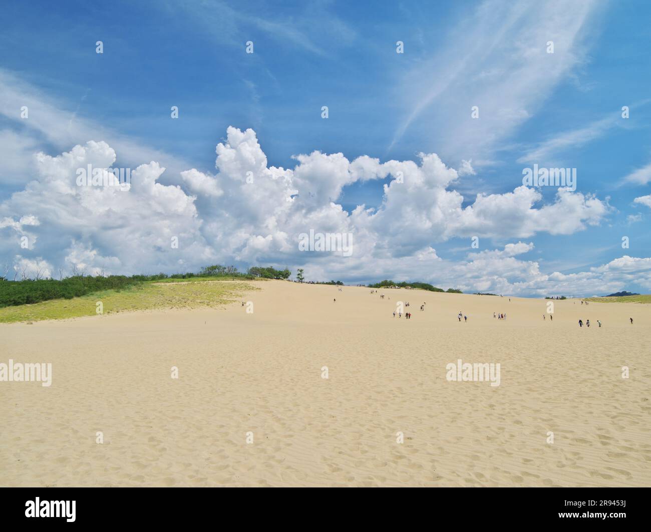 Tottori dune di sabbia Foto Stock