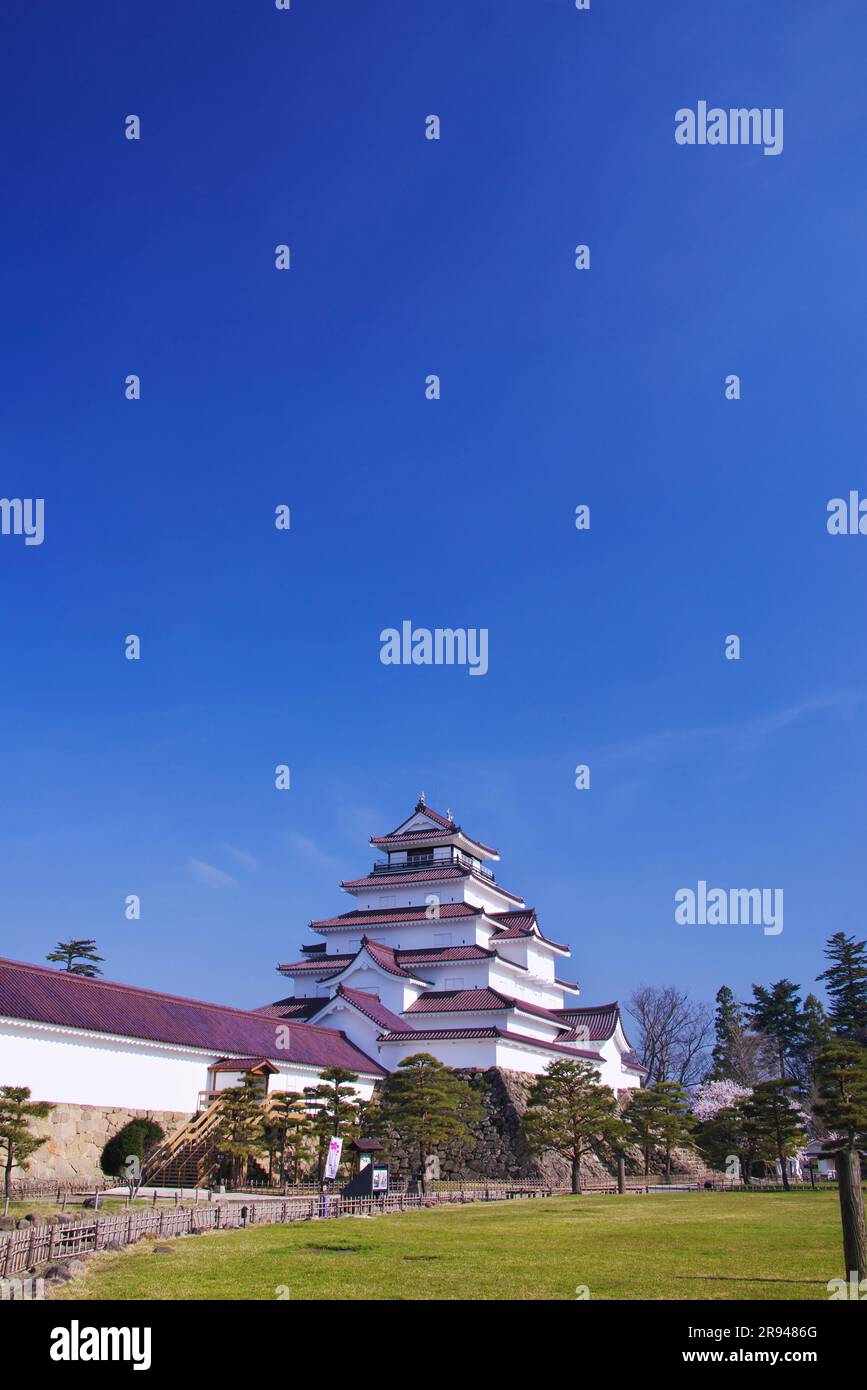 Castello di Tsuruga Foto Stock