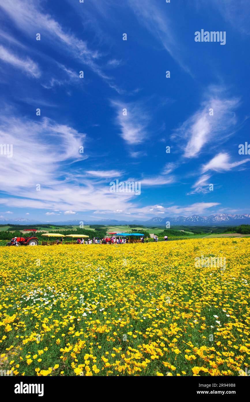 Collina di Shikisainooka e catena montuosa di Tokachidakerenpo Foto Stock