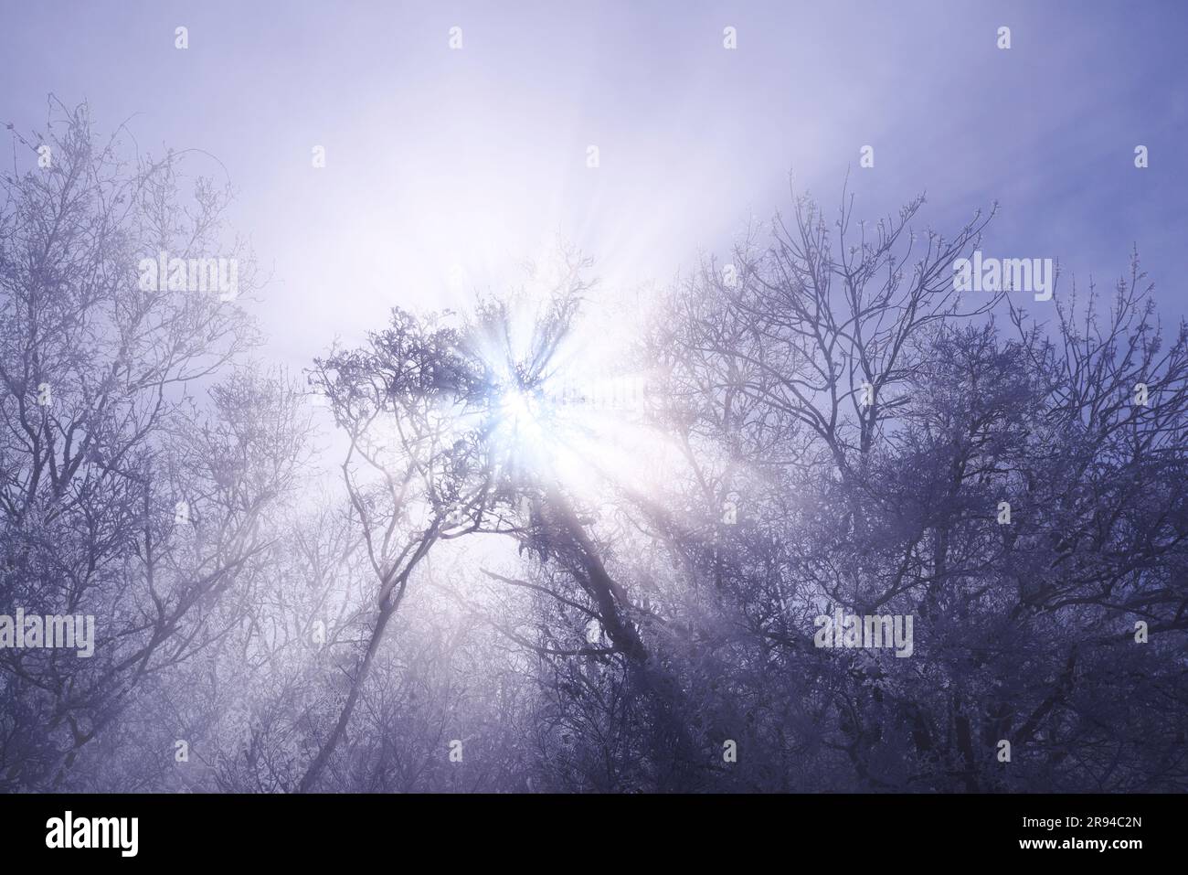 Nebbia e luce obliqua del lago Akan Foto Stock