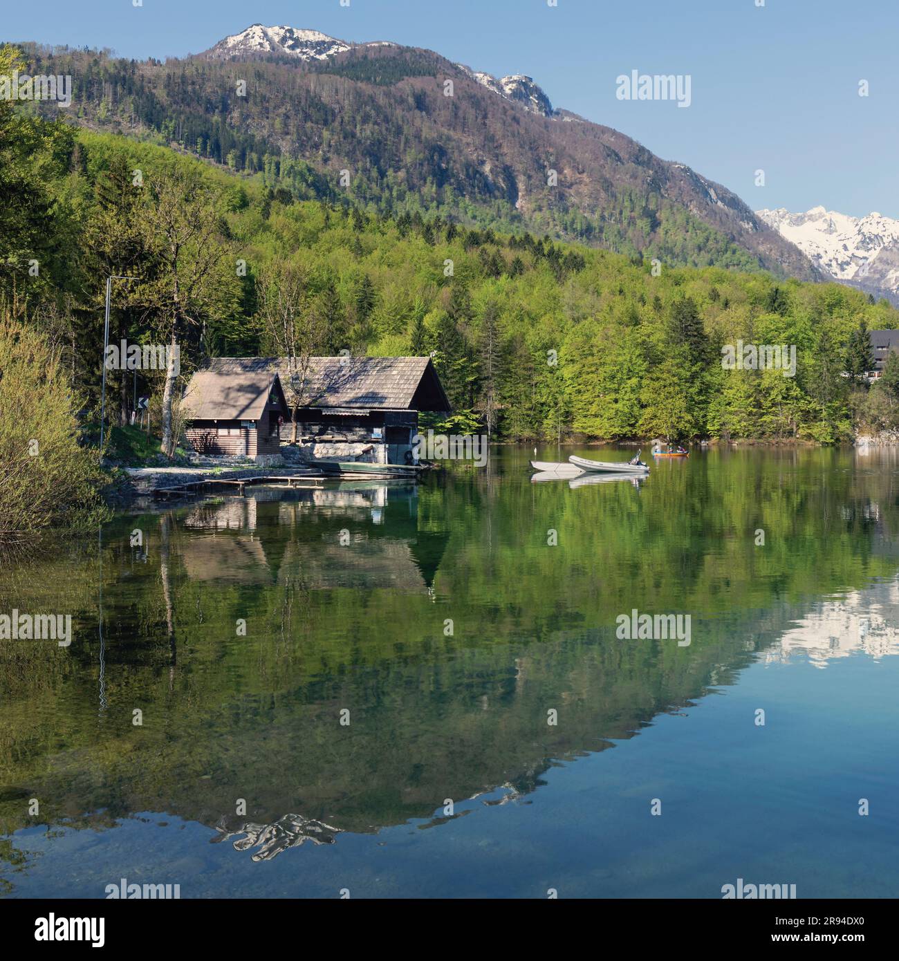 Scenario tranquillo sul lago di Bohinj, il Parco Nazionale del Triglav, l'alta Carniola, Slovenia. Foto Stock