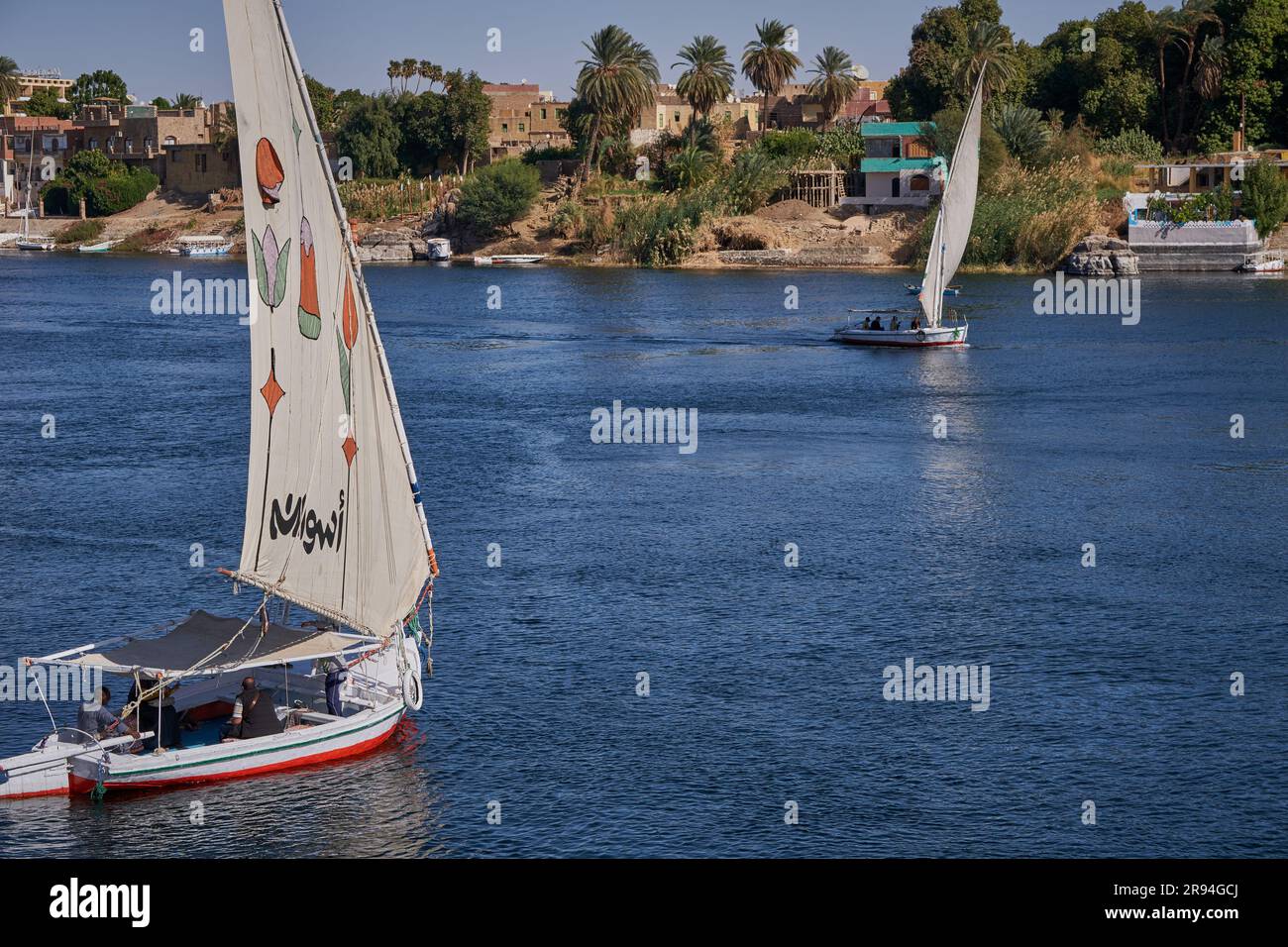 Foto pomeridiane del fiume Nilo ad Assuan, Egitto, che mostra la vista dal giardino botanico di Assuan con feluche e barche nel fiume Foto Stock