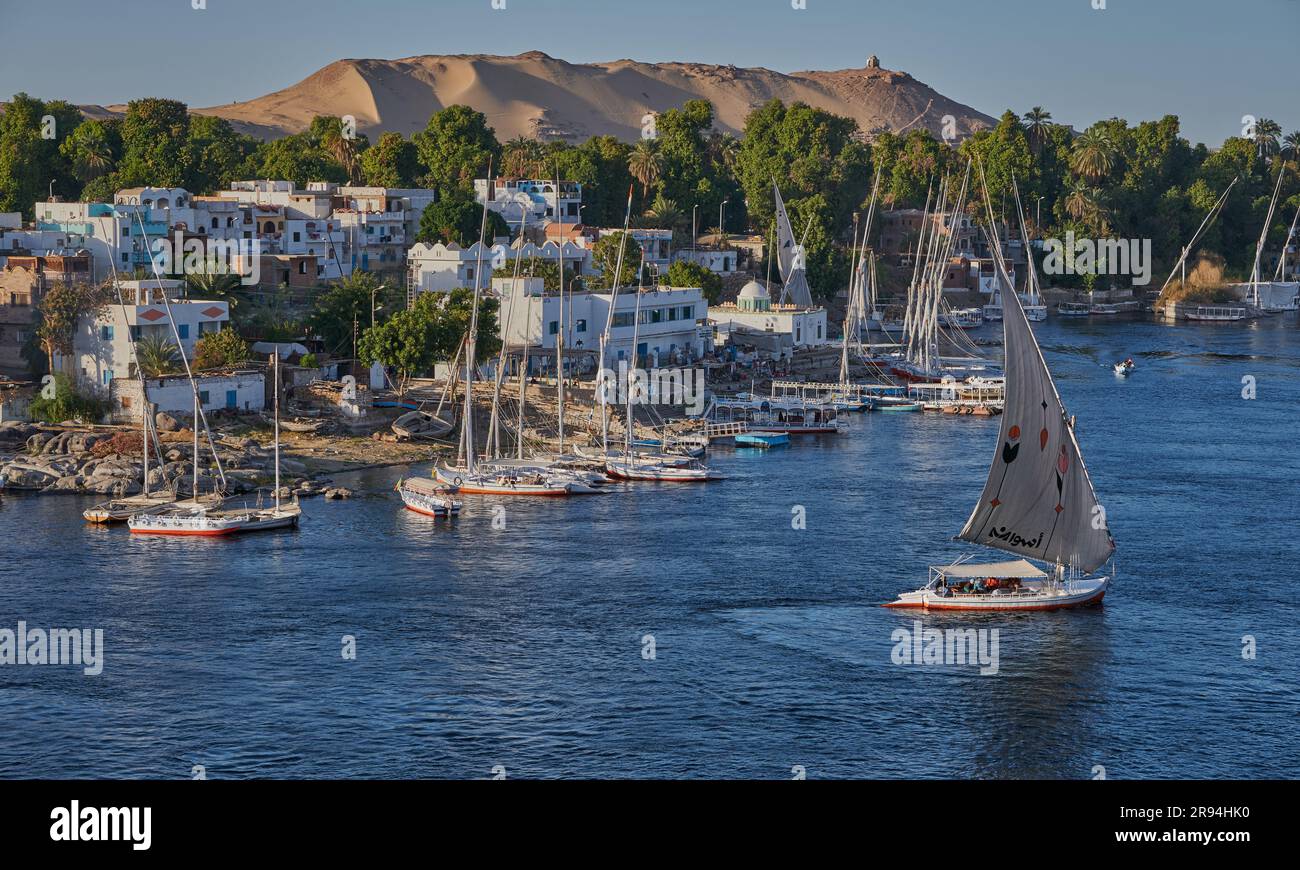 Foto pomeridiane del fiume Nilo ad Assuan, Egitto, che mostra feluche e barche nel fiume con l'isola degli elefantini (sito patrimonio dell'umanità dell'UNESCO) Foto Stock