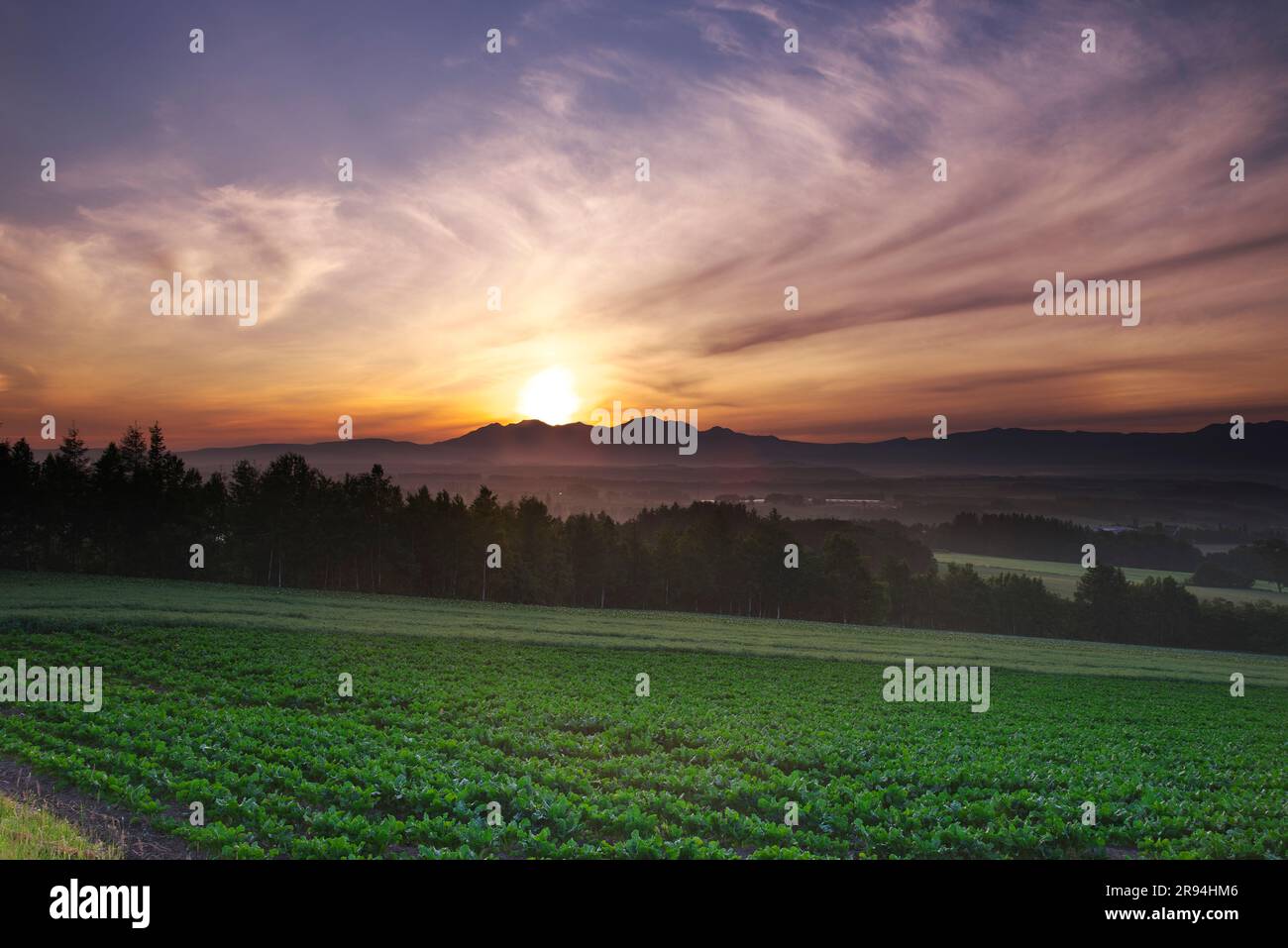 Daisetsuzan e l'alba Foto Stock