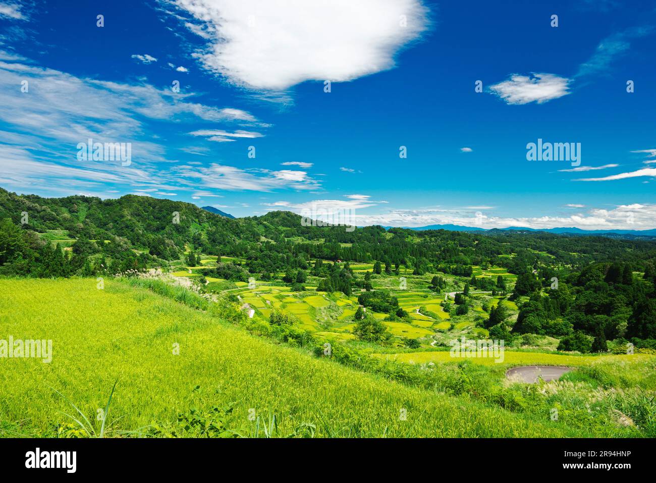 Terrazze di riso di Hoshitoge Foto Stock