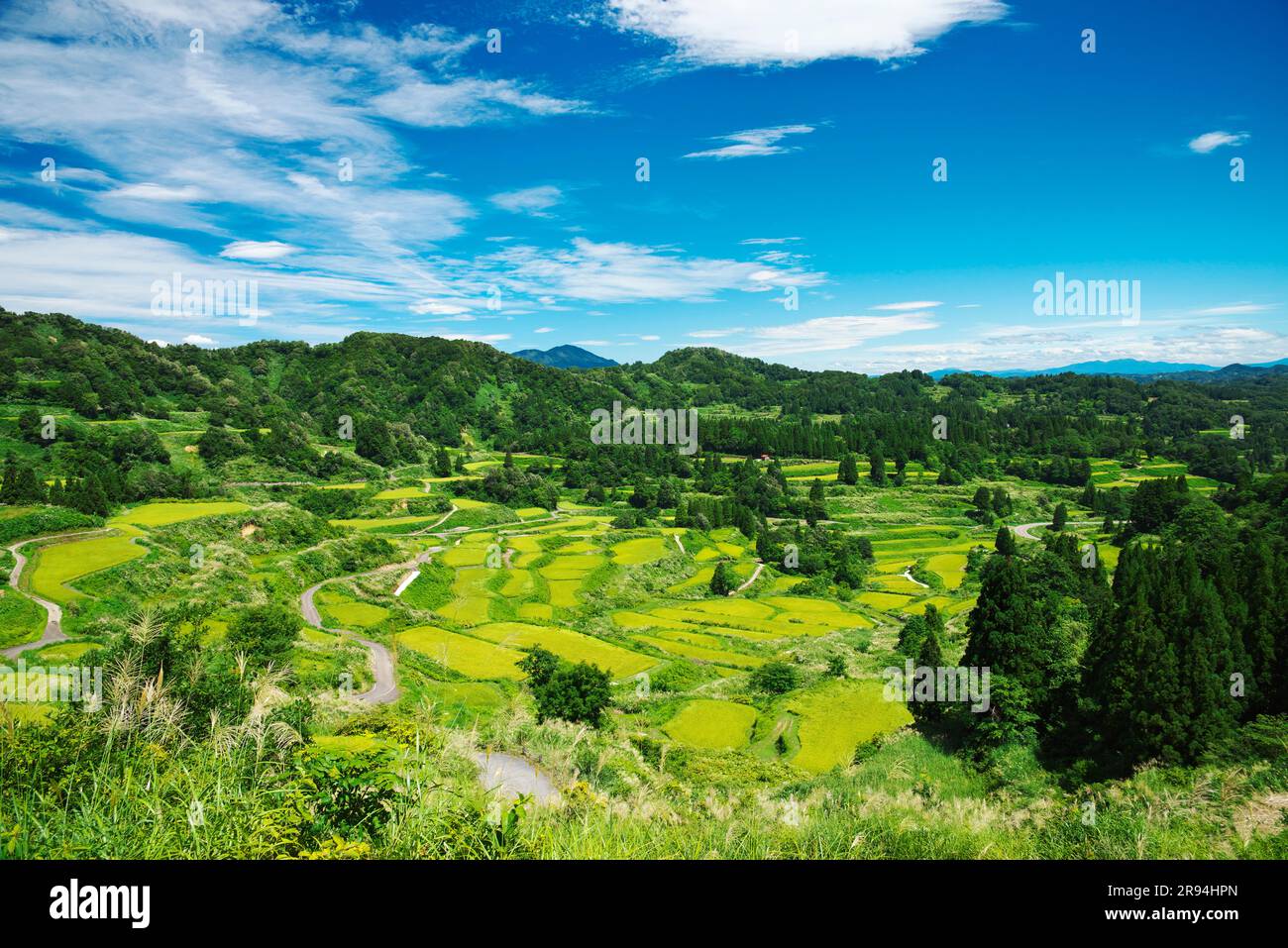 Terrazze di riso di Hoshitoge Foto Stock