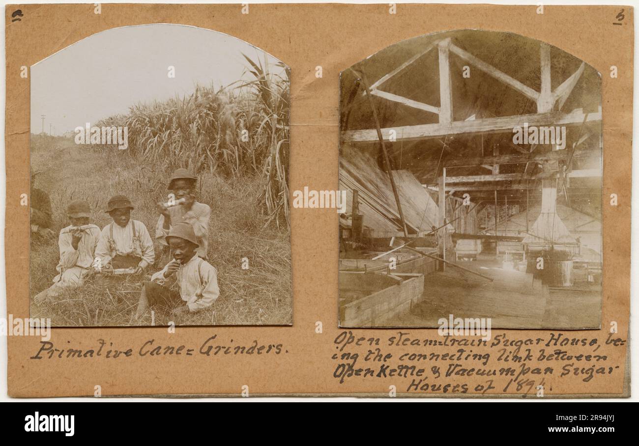 Piastra XVI, a. cane-Grinders B. Casa dello zucchero a vapore aperta Foto Stock