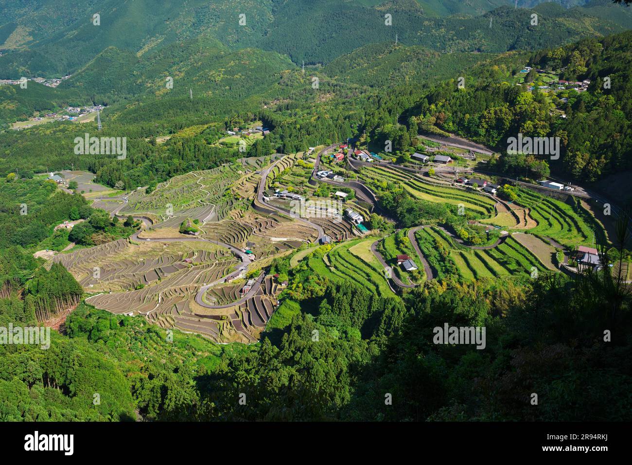 Maruyama Senmaida Foto Stock