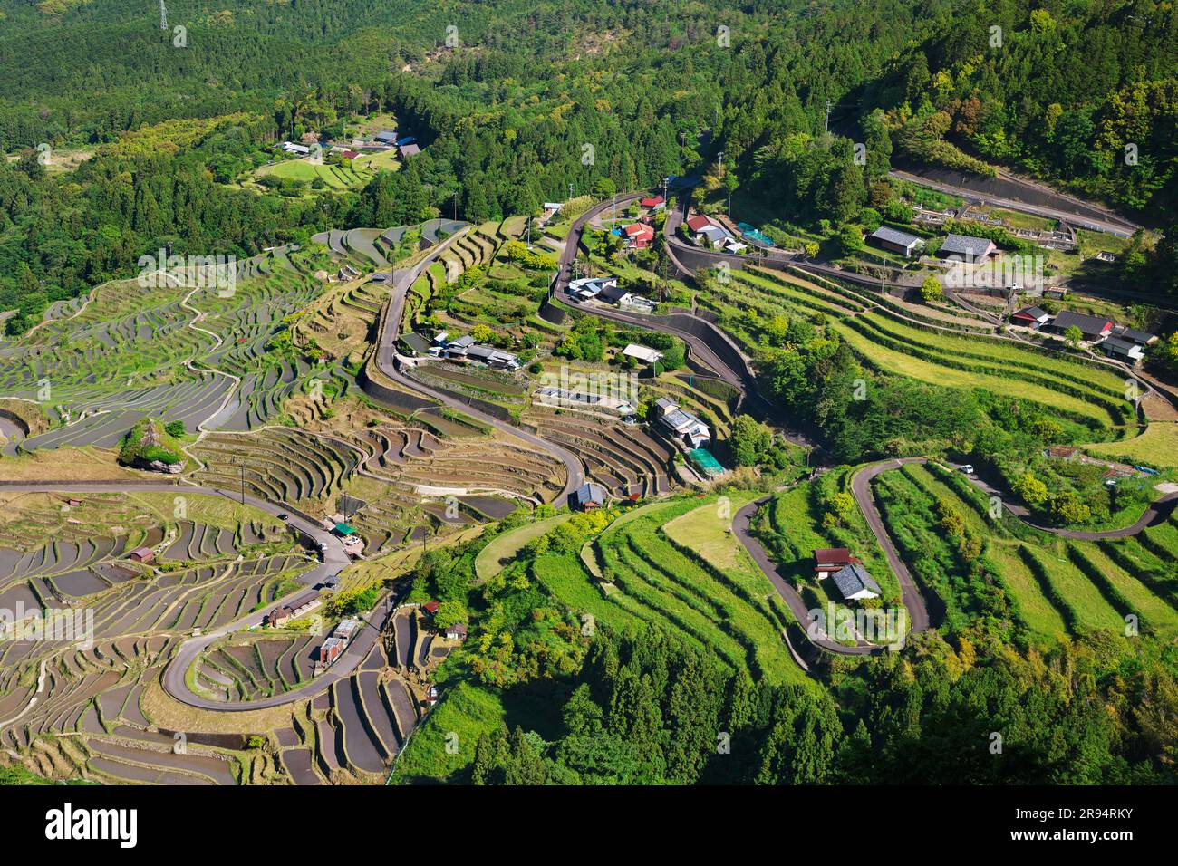 Maruyama Senmaida Foto Stock