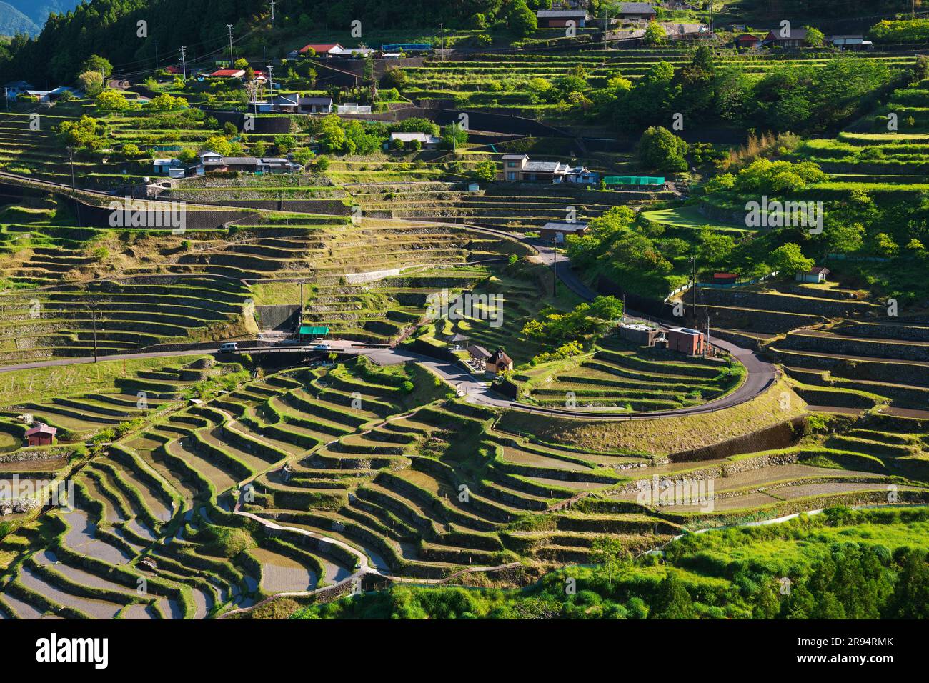 Maruyama Senmaida Foto Stock