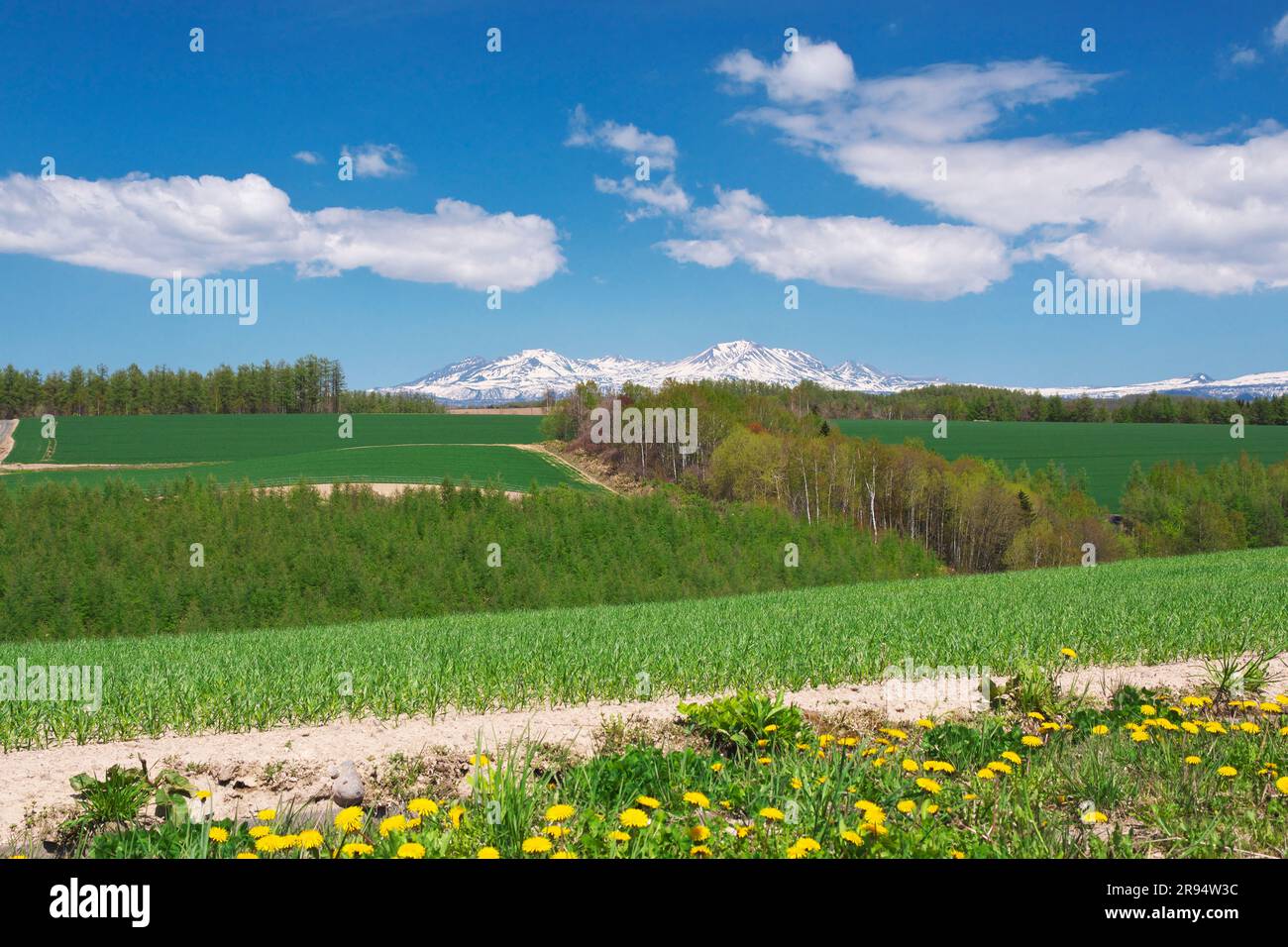 MT. Daisetsuzan e paesaggio rurale Foto Stock