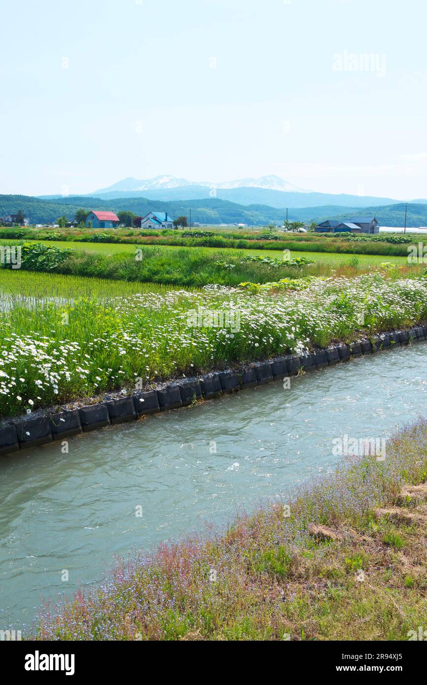 Il canale di irrigazione e Taisetsu Zan Foto Stock