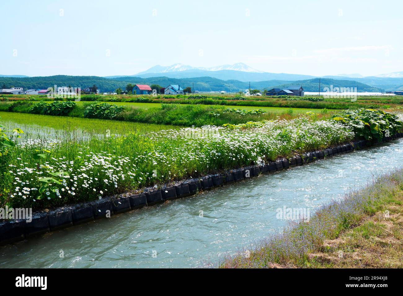 Il canale di irrigazione e Taisetsu Zan Foto Stock