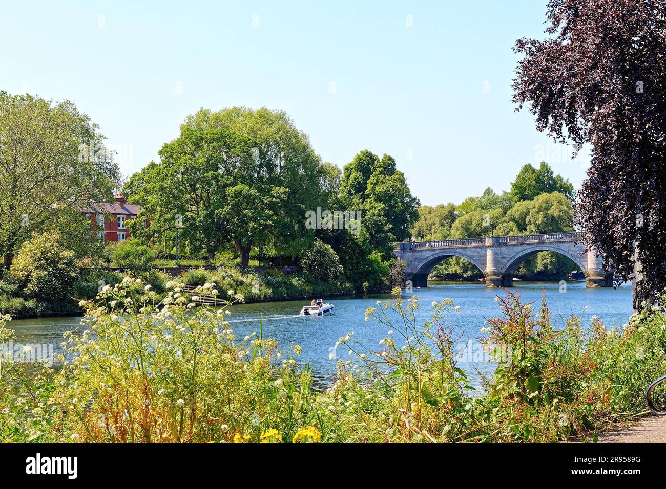 Il lungofiume del Tamigi e il ponte a Richmond on Thames in una giornata estiva soleggiata, Greater London England UK Foto Stock