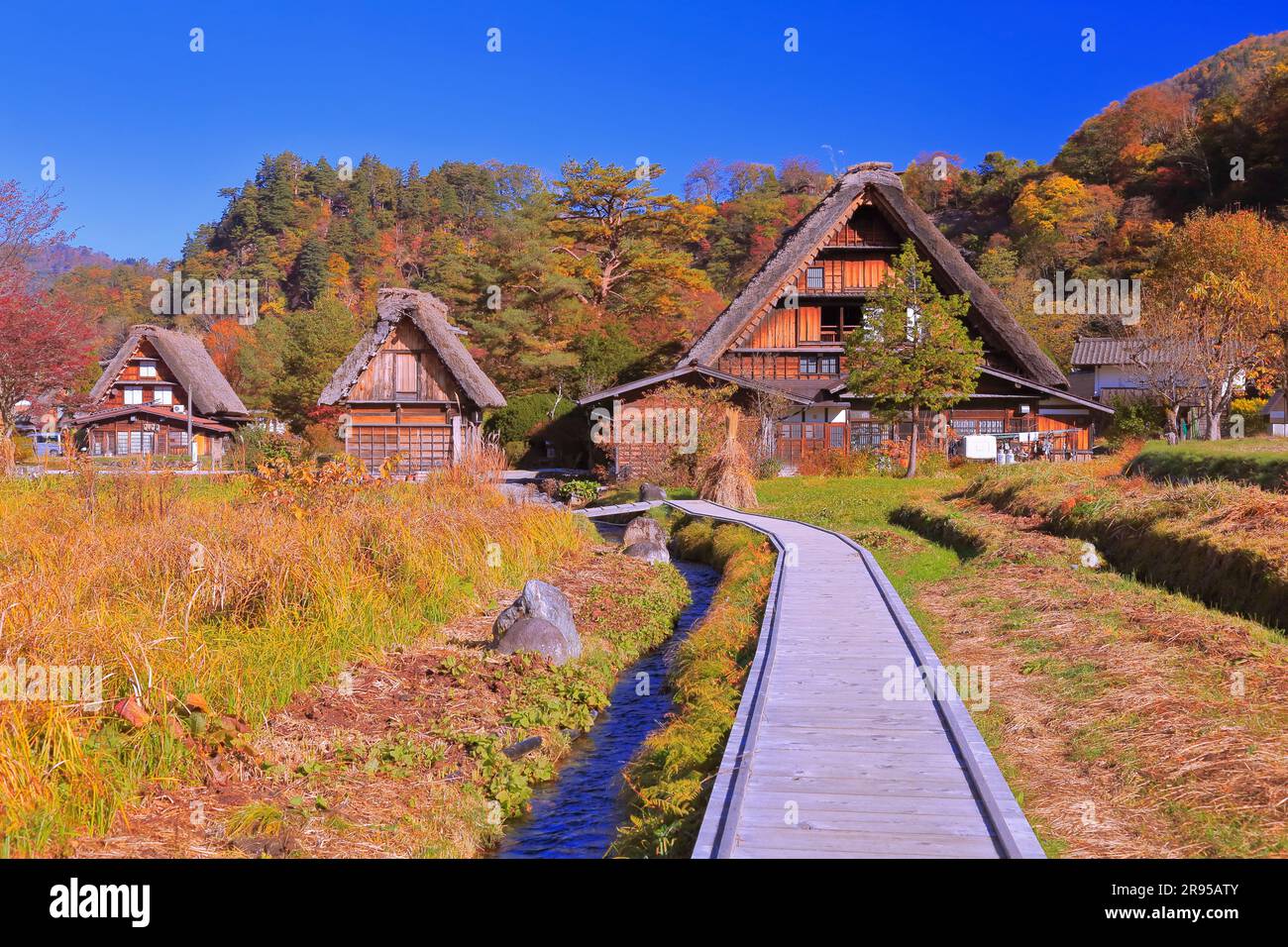 Autunno Shirakawago Foto Stock