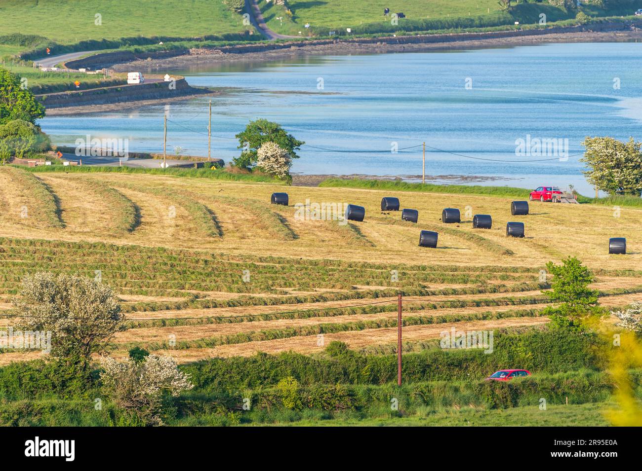 Le balle di insilato aspettano di essere raccolte a Timoleague, West Cork, Irlanda. Foto Stock