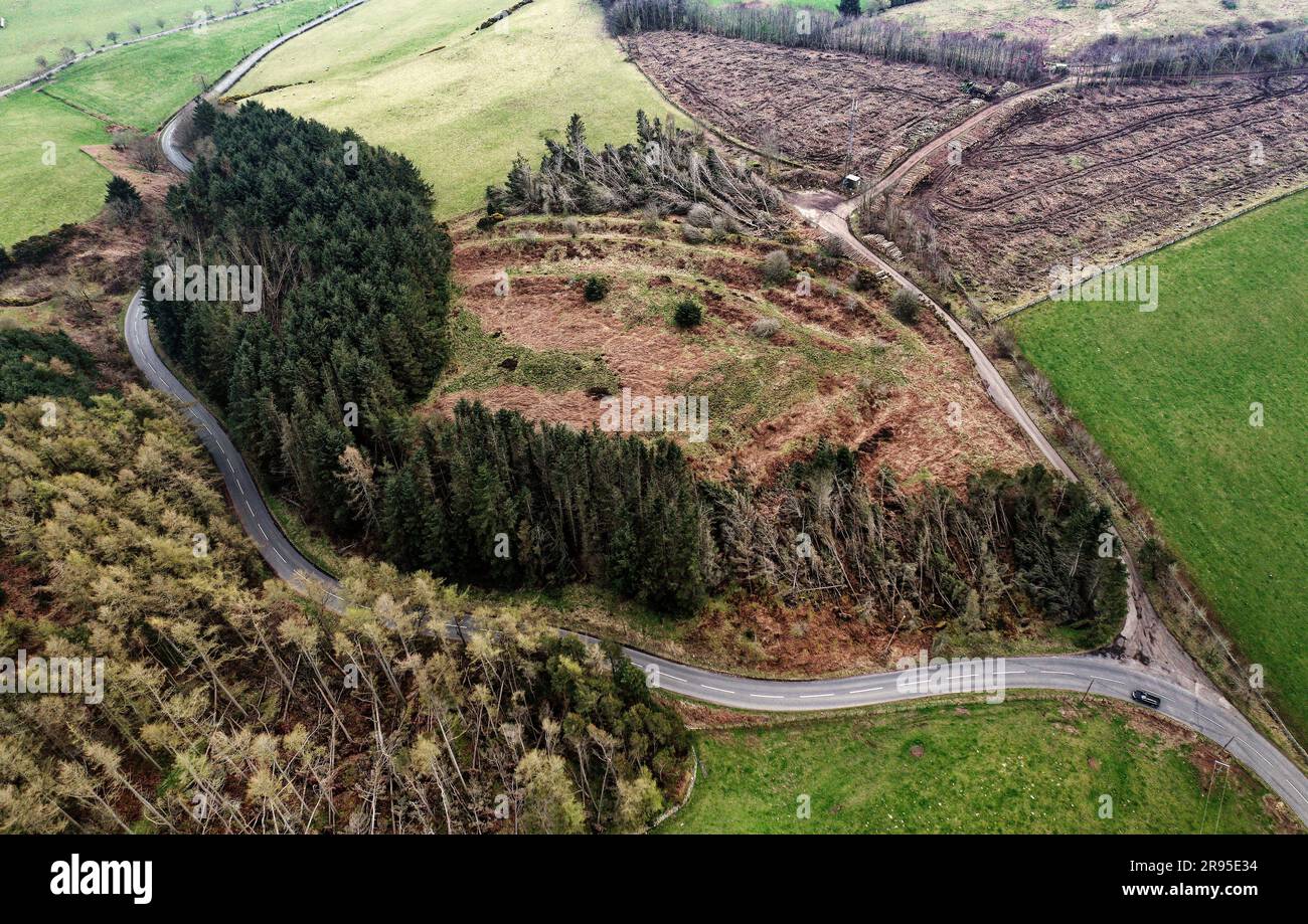 Preston Cleugh, forte preistorico noto anche come Bunkle Edge. Regione di confine, Scozia. S. su bastioni e fossati concentrici di terra e pietra. Serie Drakemuir Foto Stock