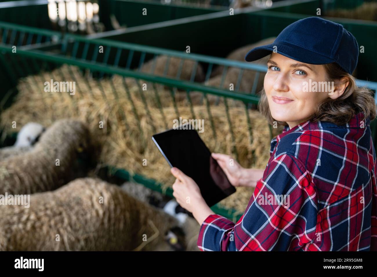 Donna contadina con tablet in un ovile. Gestione delle mandrie. Foto Stock