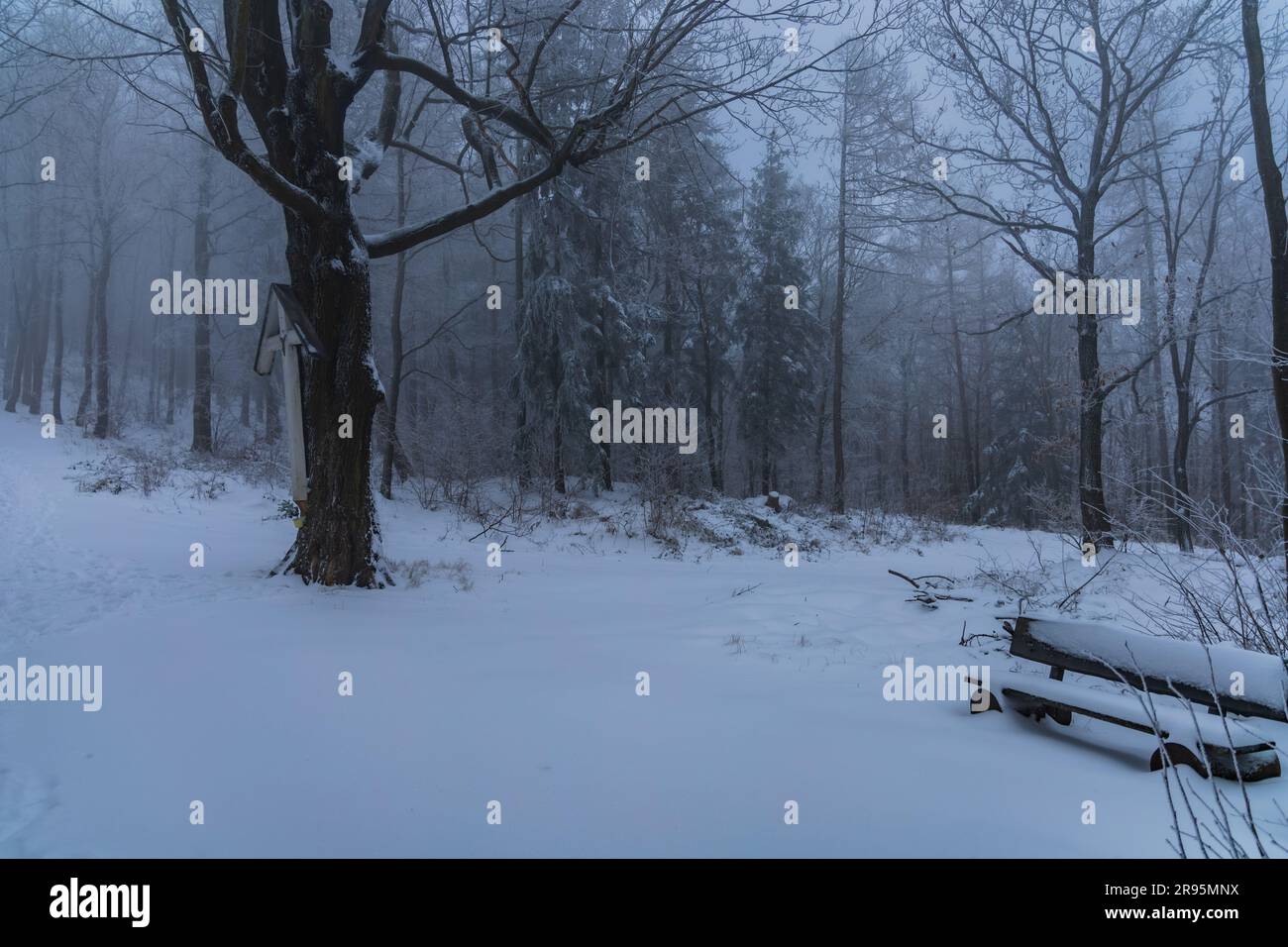 Grande vecchio albero con una grande croce bianca impiccata in una nebbiosa vallata coperta di neve in inverno Foto Stock