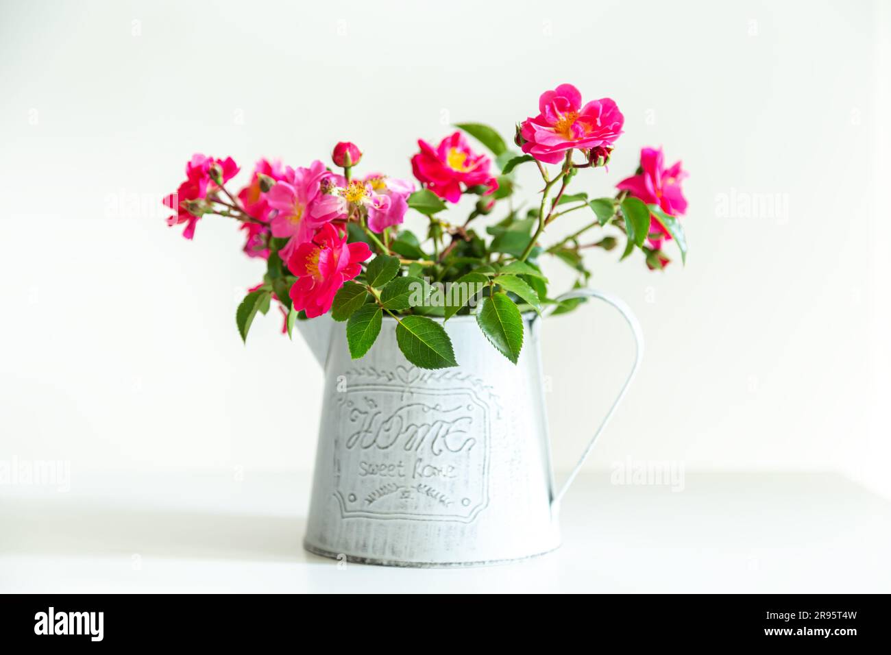Fiori di rosa in una lattina da annaffiare. Dettagli interni, stile shabby chic. Foto Stock