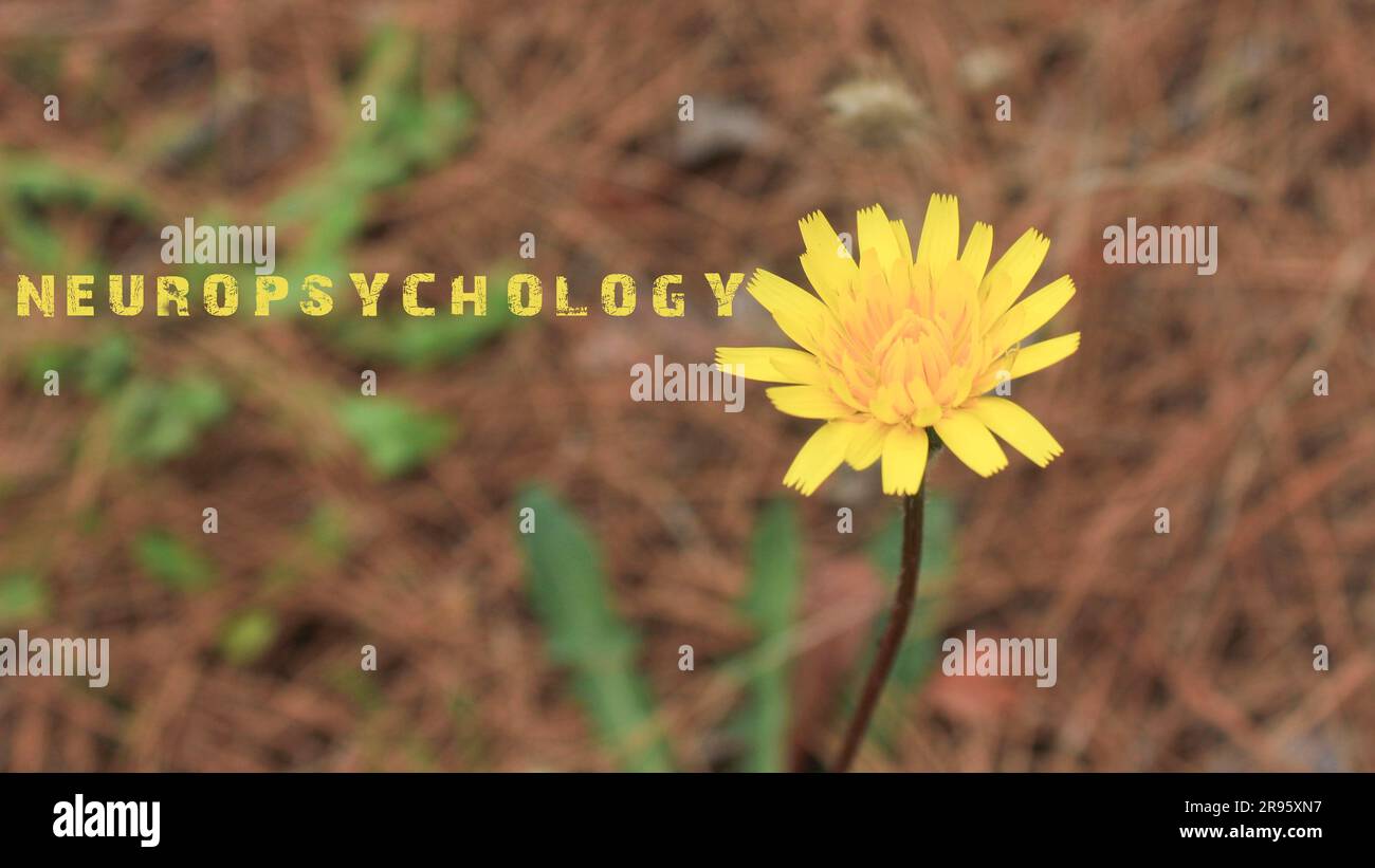 Frase di neuropsicologia scritta. Sfondo di fiore giallo. Foto Stock