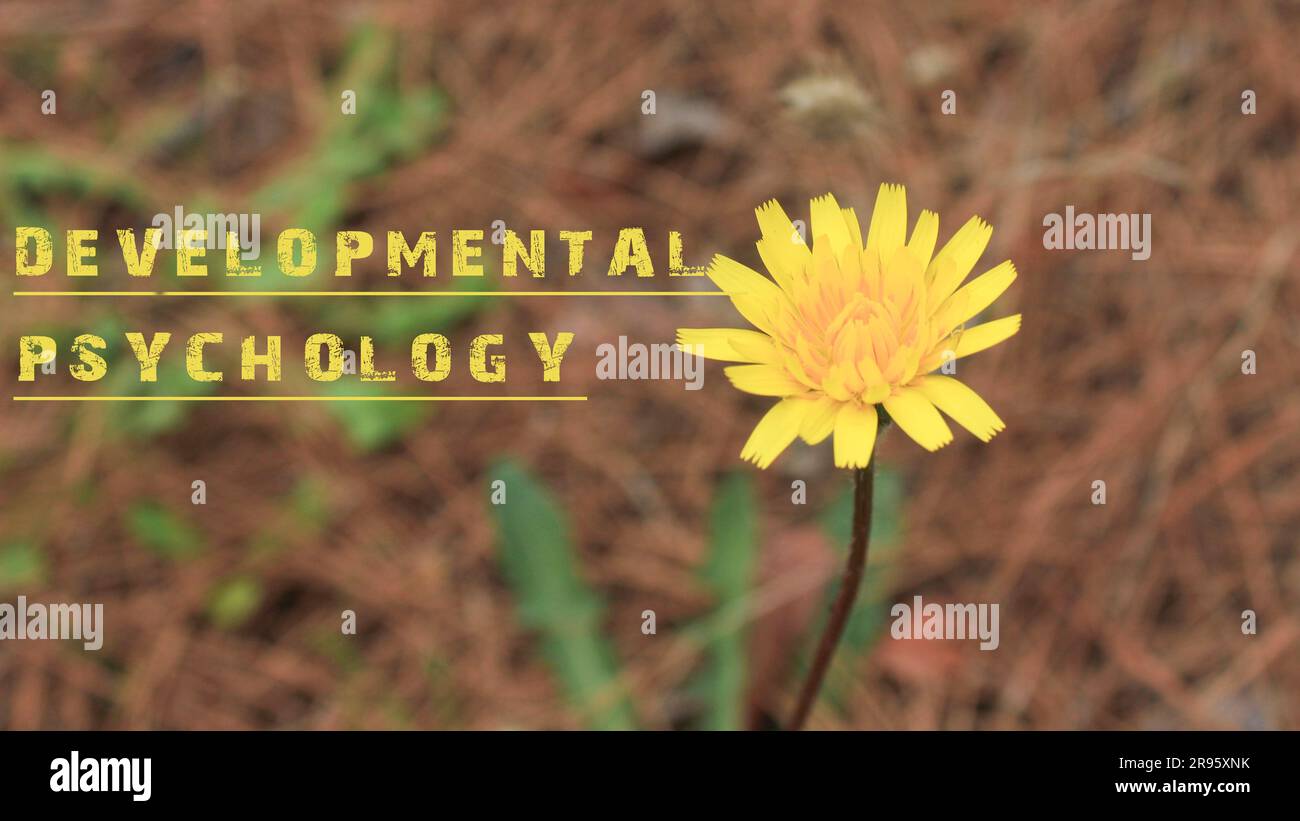La sentenza di psicologia dello sviluppo è stata scritta. Sfondo di fiore giallo. Foto Stock