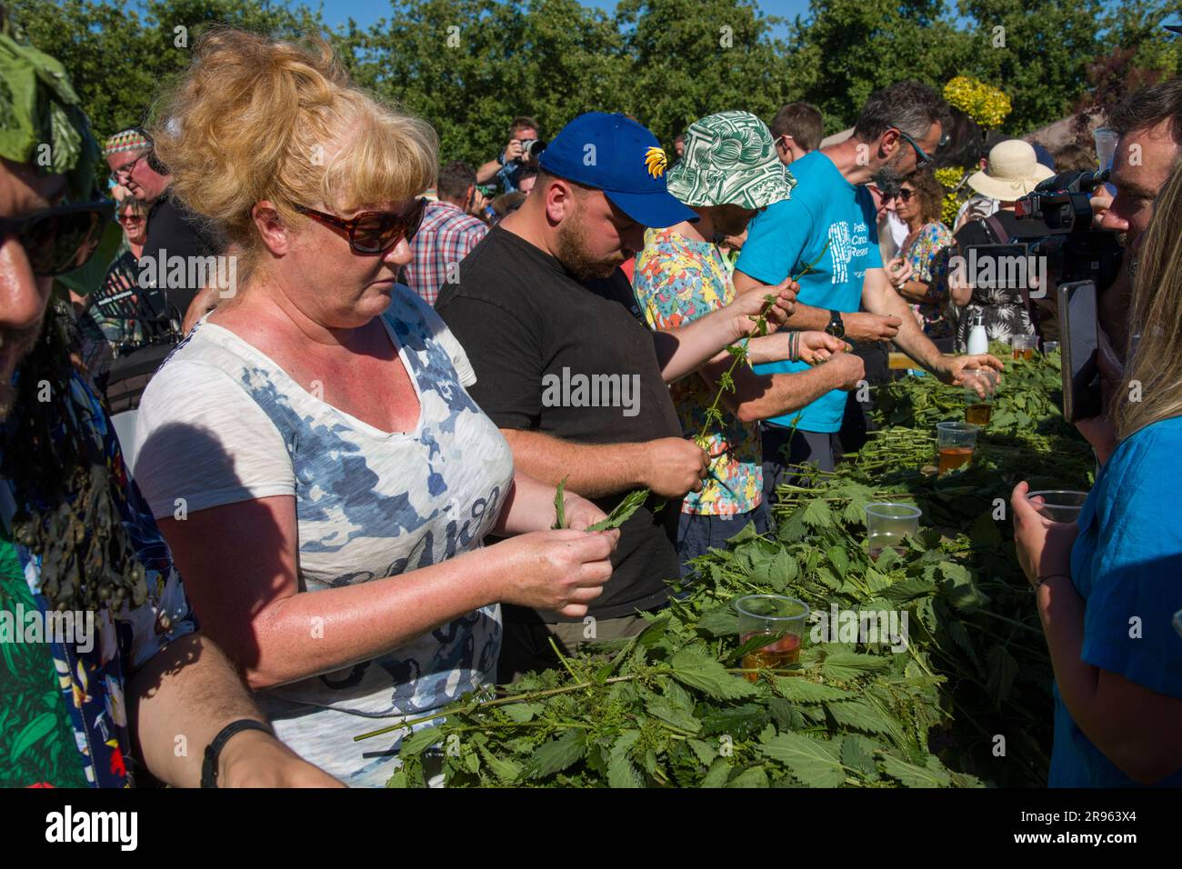 Bridport, Dorset. 24 giugno 2023. World Nettle Eating Contest. Tenuto presso la Dorset Nectar Cider Farm, Bridport, Dorset. Crediti: Steve Davey/Alamy Live News Foto Stock