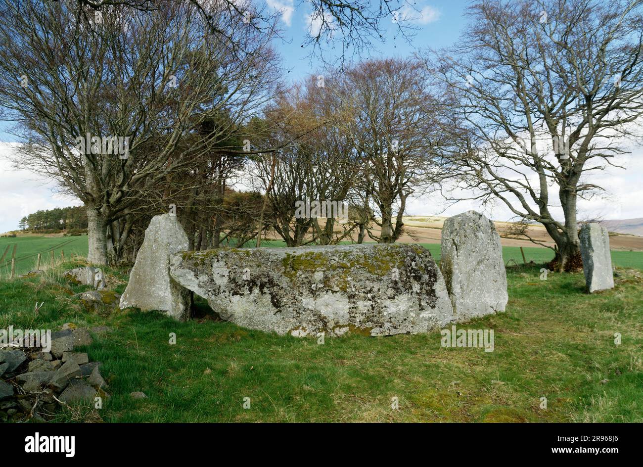 Vecchio cerchio di pietre reclinate preistoriche di Keig. N.E. di Alford, Grampian, Scozia. Guardando a nord Foto Stock