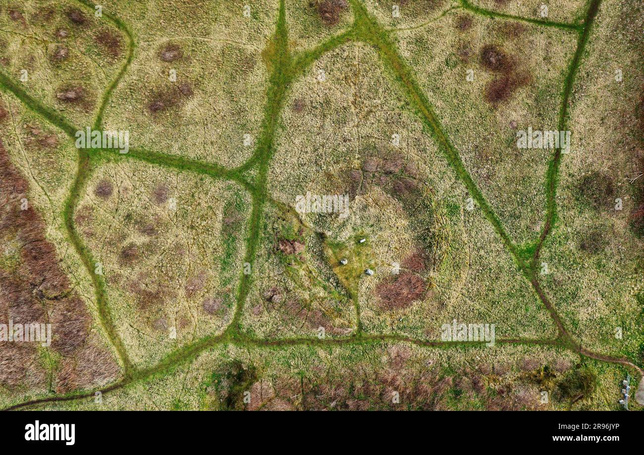 Broomend di Crichie henge preistorico e megaliti che si ergono in pietre all'interno dei sentieri del parco di Inverurie, Grampian, Scozia. Nord alle 6 Foto Stock