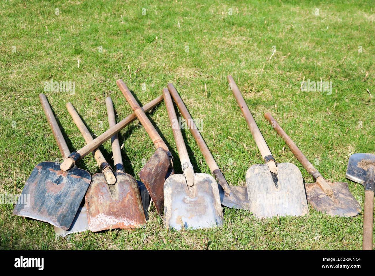 Molte pale e baionette, attrezzature per la pulizia, disposizione del territorio, scavo della terra giacciono su erba verde Foto Stock