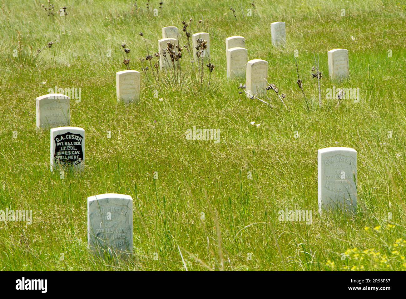 Pietre commemorative per i soldati caduti del 7th Cavalry, ultima tribuna del generale George Custer, Battaglia del Little Big Horn River, Wyoming, USA Foto Stock