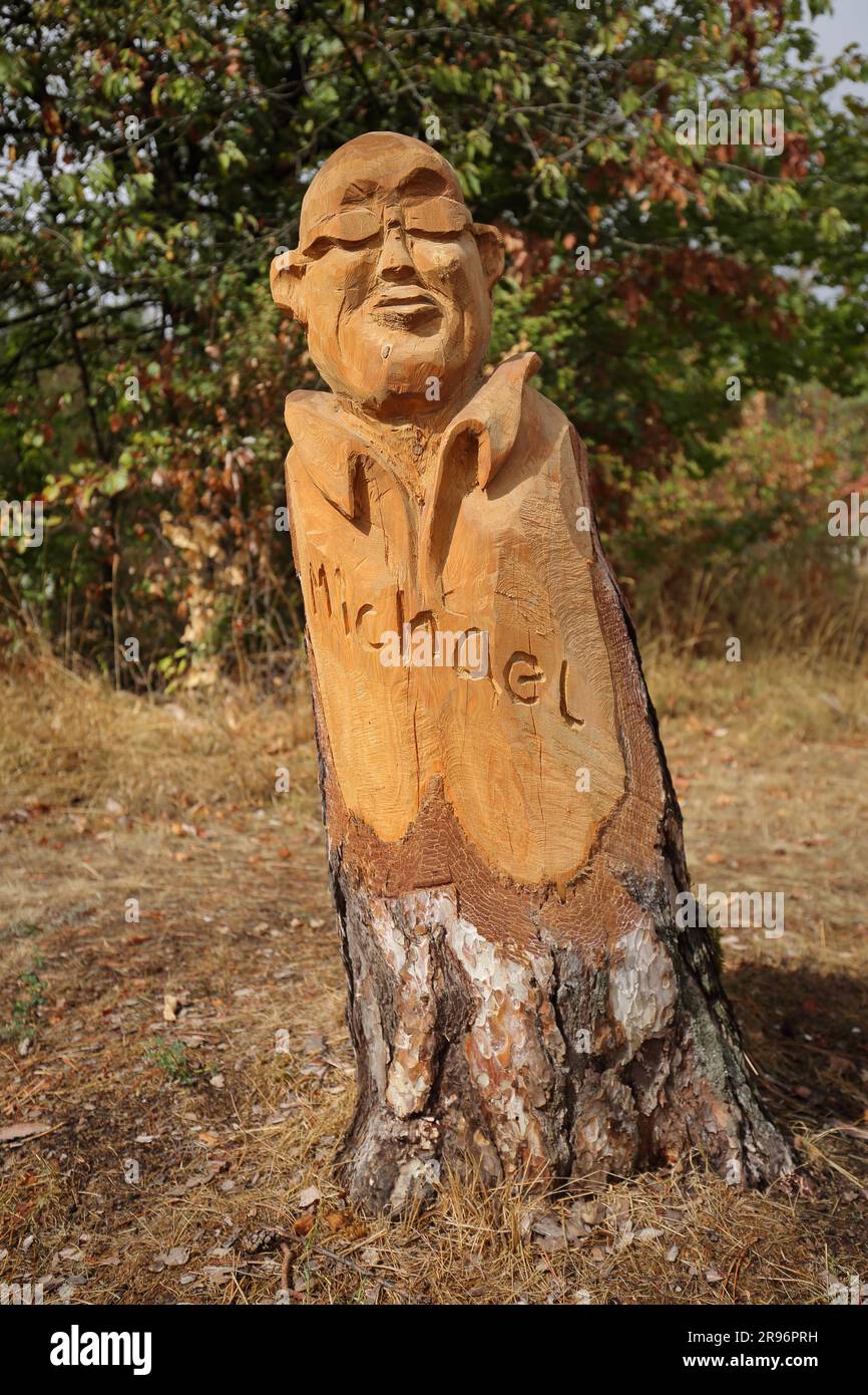 Intaglio di legno su un tronco d'albero nella foresta con l'iscrizione Michael, nome, volto, occhiali, legno, Artigianato, Michelsberg, Muennerstadt, Rhoen Foto Stock