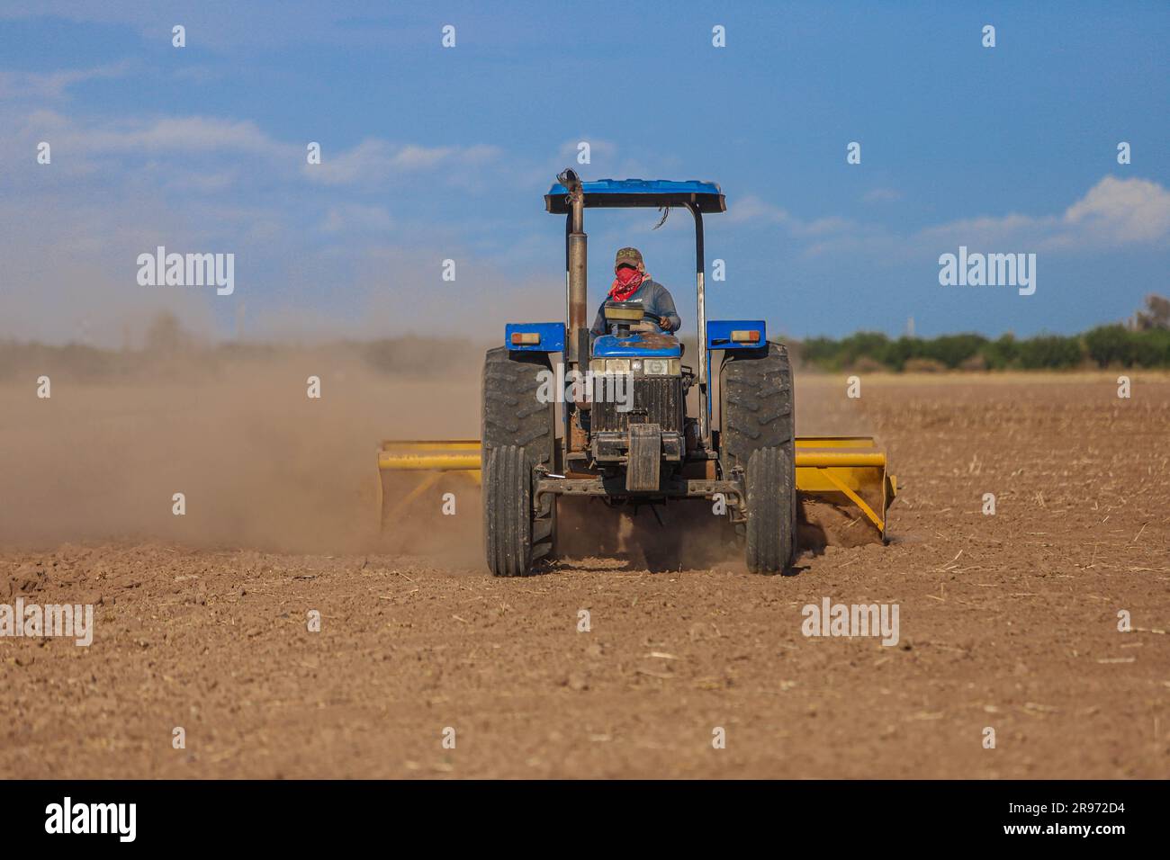 Un agricoltore ara il terreno sul suo trattore e lo prepara per essere coltivato nella comunità di Navovaxia, nel comune di Huatabampo Sonora, Messico. (© foto: LuisGutierrez / NortePhoto.com) un en su tractror ara la tierra del suelo y lo prepara para ser cultivado en la comunidad de Navovaxia en el municipio de Huatabampo Sonora Messico. (© foto: LuisGutierrez / NortePhoto.com) Foto Stock