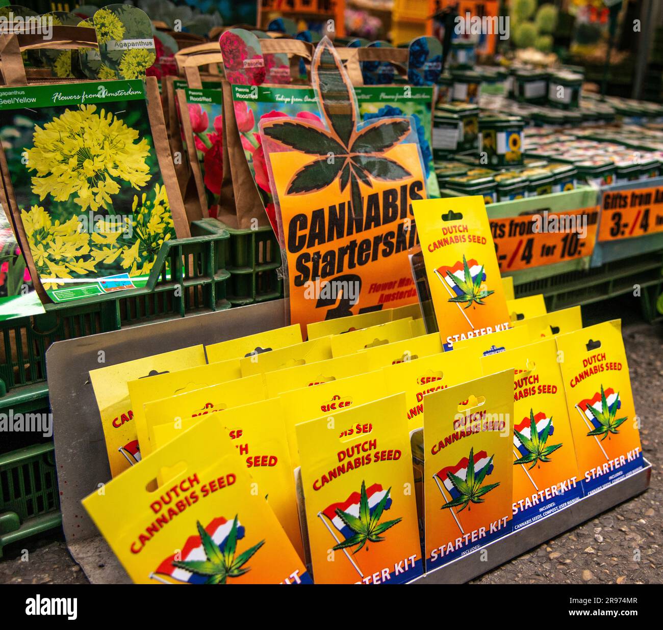Starter kit e semi di cannabis in vendita ad Amsterdam. Foto Stock