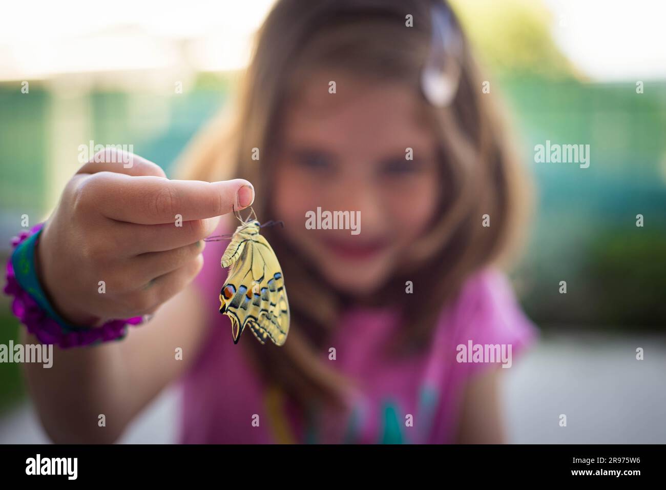 Bambina caucasica con farfalle neonate a coda di rondine (papilio machaon) appese al dito, prima di liberarla. Natura e attività scientifica Foto Stock