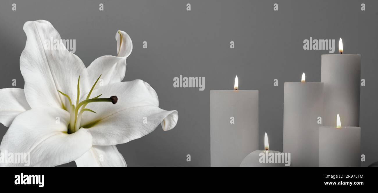 Funerale. Giglio bianco e candele brucianti su sfondo grigio, design striscione Foto Stock