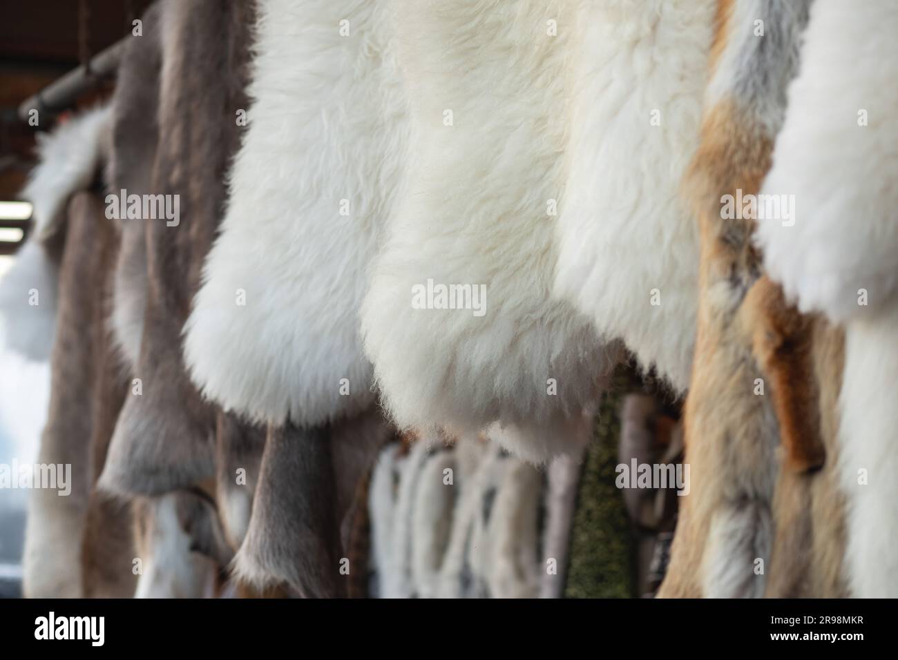 Pelle di pecora appesa in un negozio. Foto di alta qualità Foto Stock