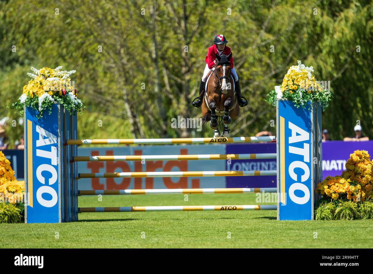 Tiffany Foster, del Team Canada, partecipa alla FEI Nations Cup al Thunderbird Show Park di Langley, British Columbia, Canada il 4 giugno 2023. Foto Stock