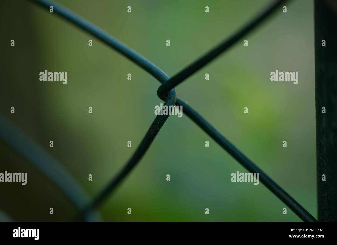 Dettaglio di una rete metallica verde con la scritta "X" Foto Stock