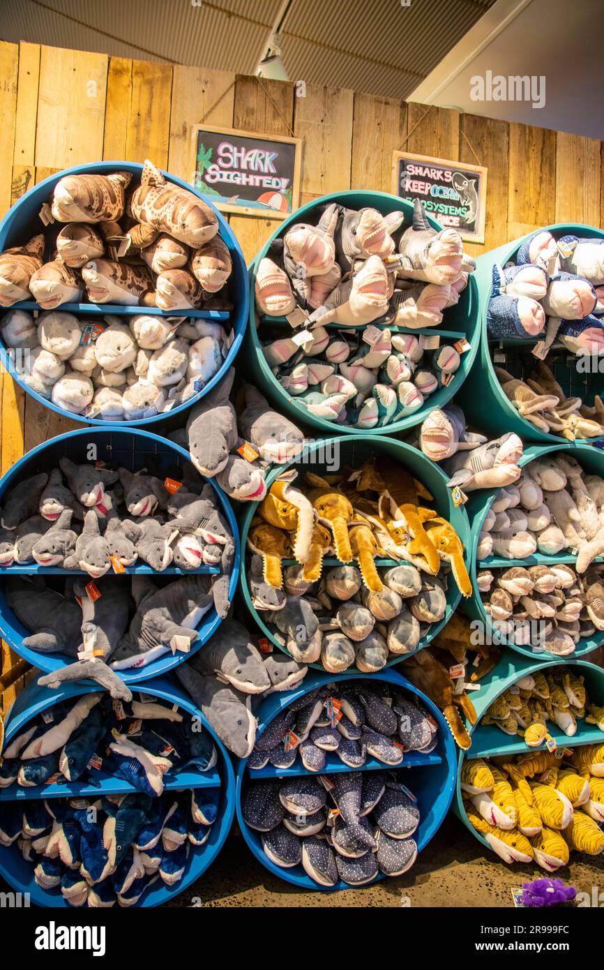 Diversi tipi di giocattoli ripieni di squali nel negozio di souvenir del Sea Life Aquarium di Sydney. Un acquario pubblico con una grande varietà di acquari australiani Foto Stock