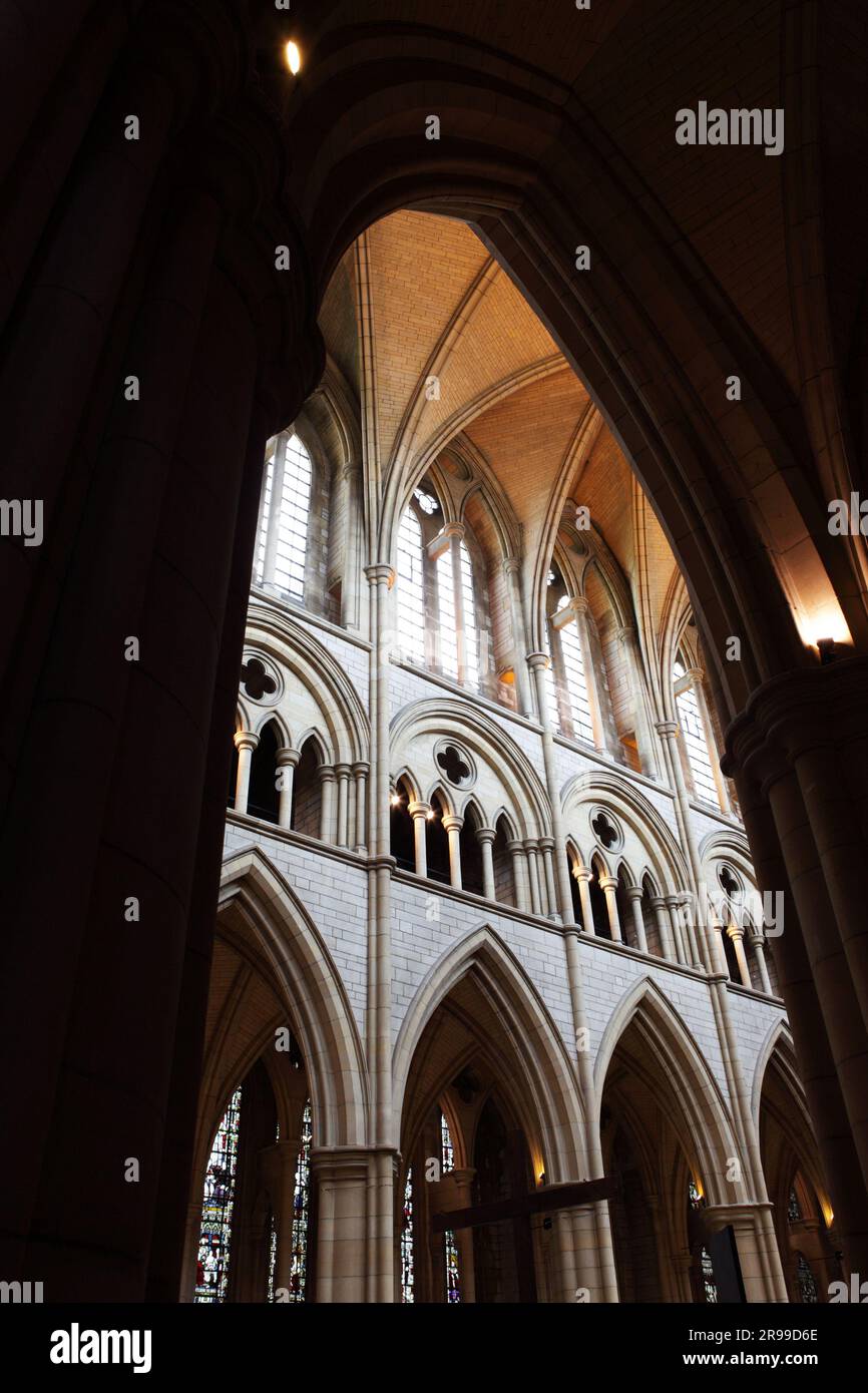 Una prospettiva diversa rispetto al soffitto a volta all'interno della Cattedrale di Truro. Foto Stock