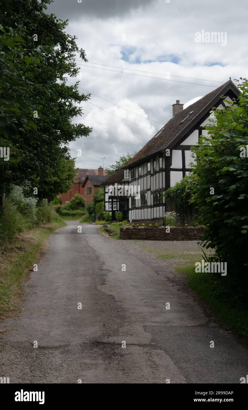 Timber Framed Houses, Byford, Herefordshire, Inghilterra Foto Stock