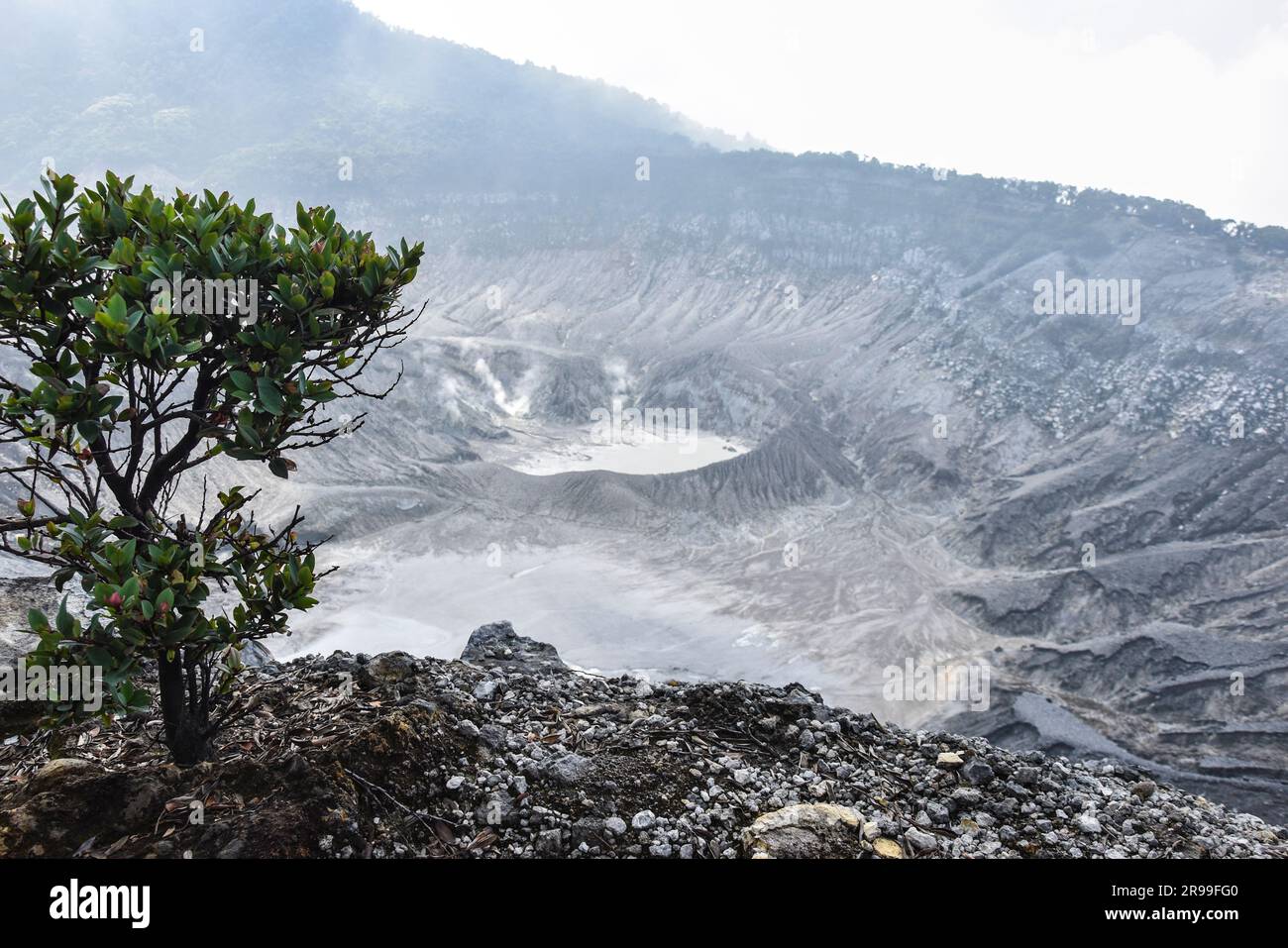 Bandung, Indonesia. 25 giugno 2023. Veduta del vulcano Tangkuban Parahu, nella Reggenza di Bandung, Giava Occidentale, Indonesia il 25 giugno 2023. Uno dei vulcani di Giava Occidentale, il Monte Tangkuban Perahu attrae l'interesse sia dei turisti locali che stranieri durante le vacanze del fine settimana. (Foto di Dimas Rachmatsyah/INA Photo Agency/Sipa USA) credito: SIPA USA/Alamy Live News Foto Stock