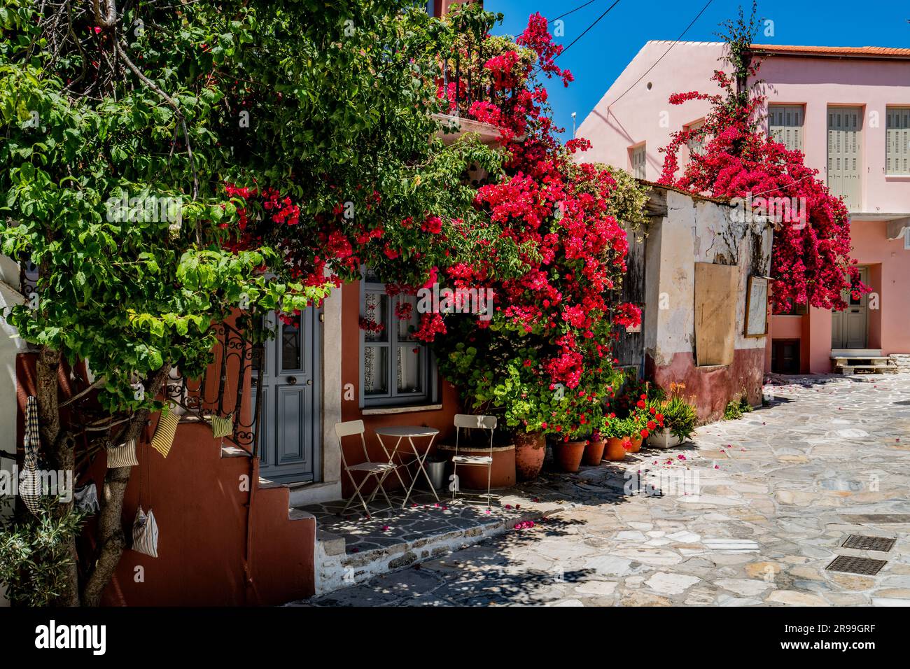 Tradizionale casa cicladica con facciata dipinta di rosa e una bouganvillea fiorita ad Halki, Naxos, Grecia Foto Stock