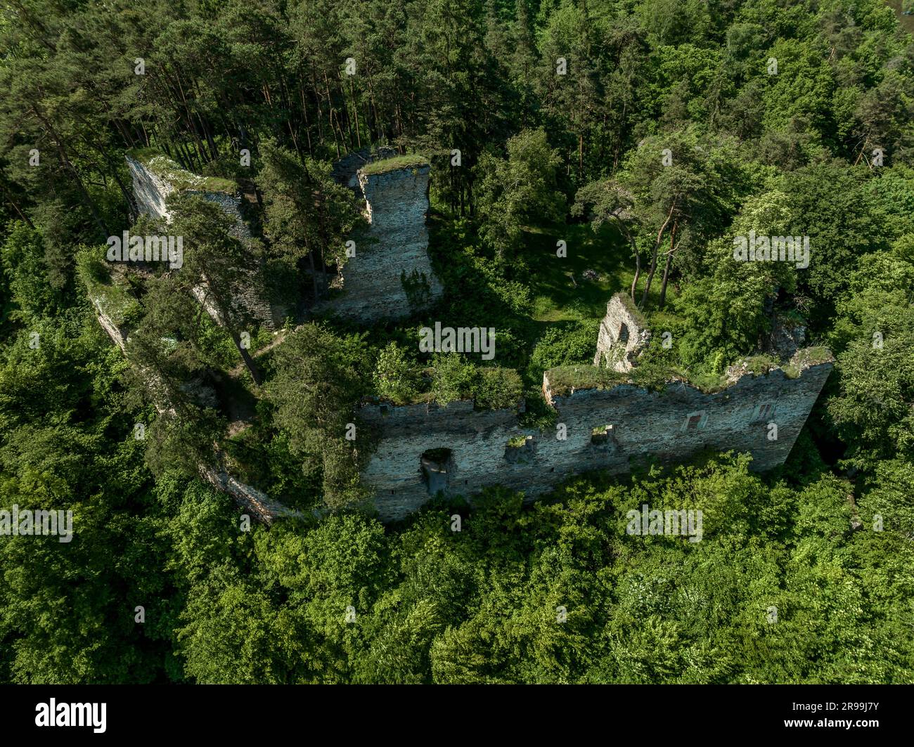 Vista aerea del castello di Frejstejn, rovine medievali del castello concentrico gotico sopra il fiume Dyji o Thaya in Cechia Foto Stock