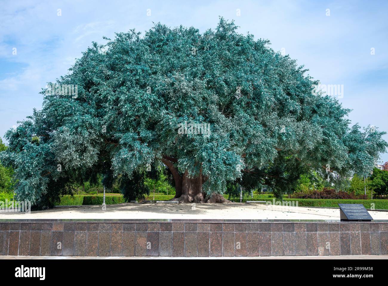 GROZNY, RUSSIA - 14 GIUGNO 2023: Scultura-copia dell'albero benedetto. Grozny, Repubblica cecena Foto Stock