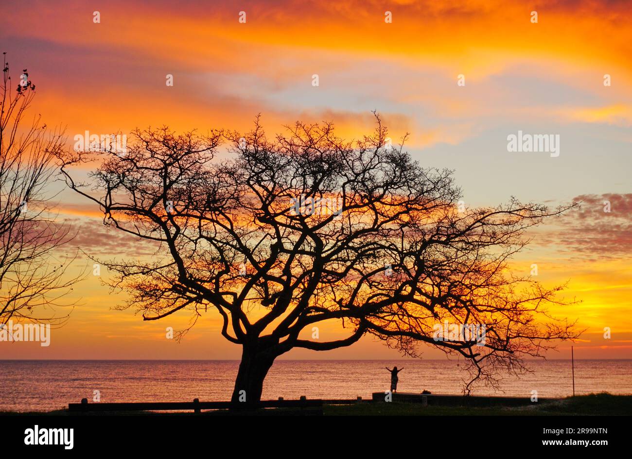 Loyola Beach all'alba di Touhy Park lungo la costa del lago Michigan nel quartiere di Rogers Park, Chicago Illinois Foto Stock