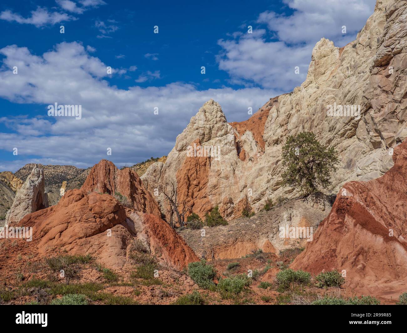 Torri rocciose del Coxcomb lungo Cottonwood Canyon Road 400, Grand Staircase-Escalante National Monument, Utah. Foto Stock