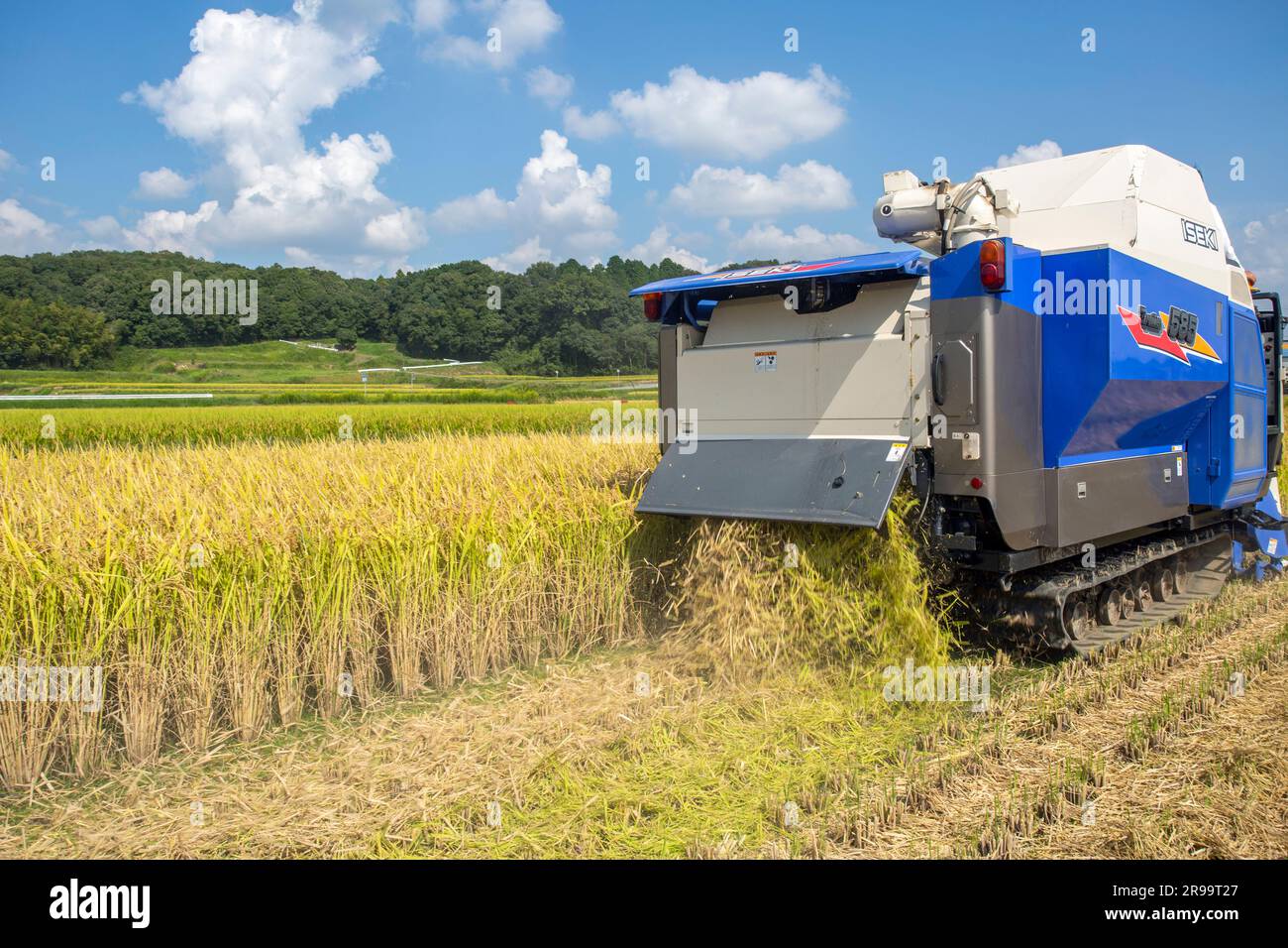 Giappone/prefettura di Hyogo/produzione sake giapponese/agricoltore raccolta di riso per macchina sul campo . Foto Stock