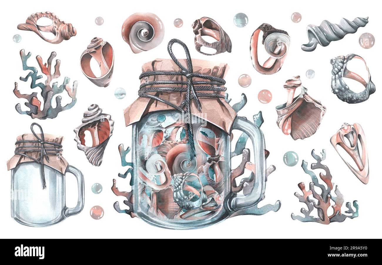 Conchiglie diverse all'interno di un vaso di vetro con manico e carta artigianale chiusa con corda, circondata da coralli. Illustrazione acquerello disegnata a mano Foto Stock